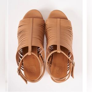 New! Coclico - Clogs - Size 40 (women’s 9)